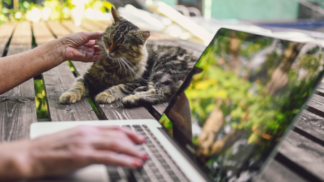 ältere Person am Laptop und am Katze streicheln