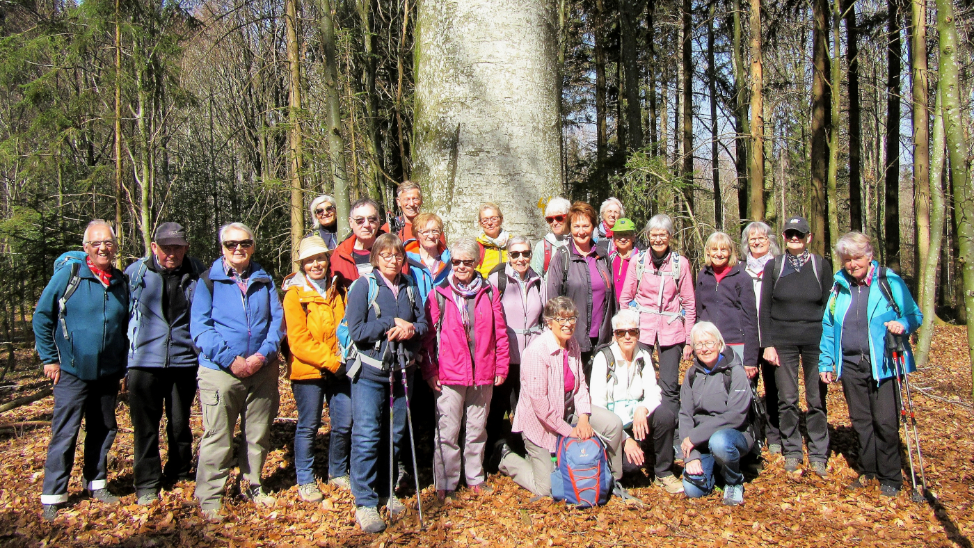 Senioren-Wandergruppe vor einem grossen Baum am Waldrand