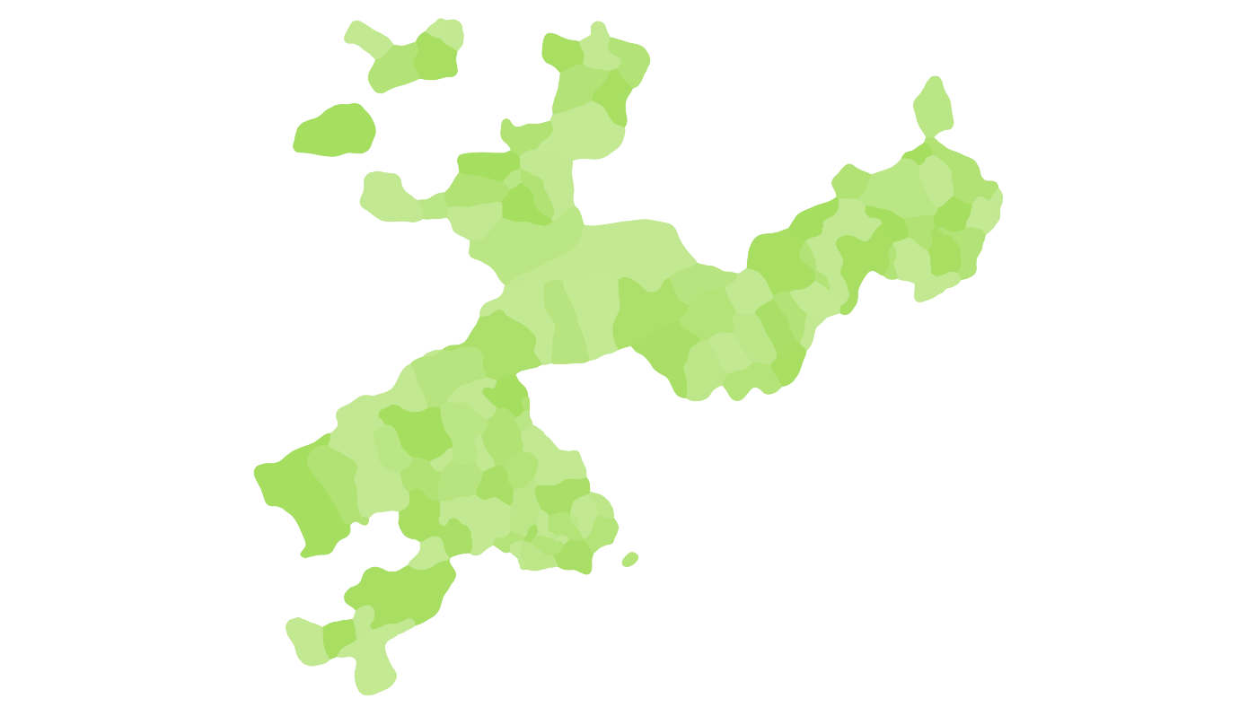 Grüne Karte des Kantons Solothurn