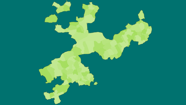 Grüne Karte des Kantons Solothurn