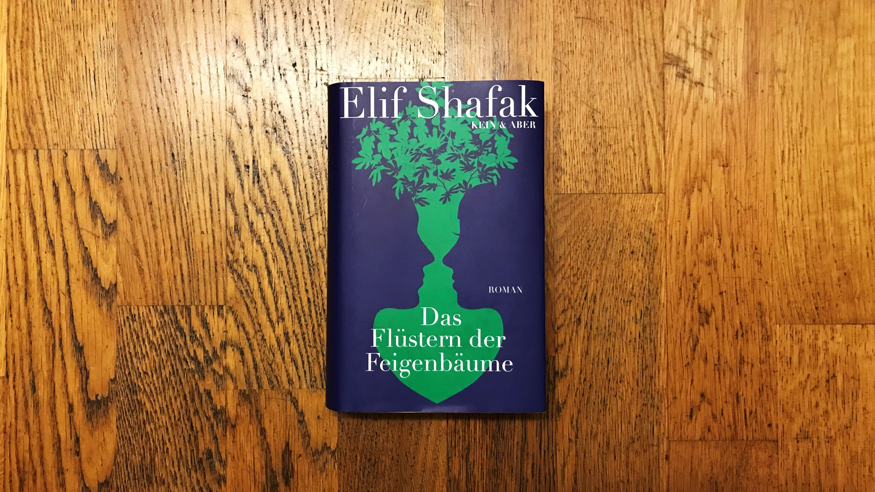 Buchcover "Das Flüstern der Feigenbäume".  Blaue Siluetten von Gesichtern formen grüne Pflanze