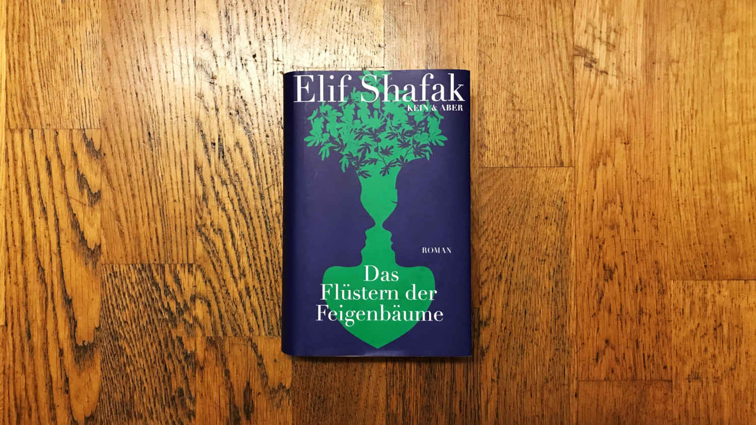 Buchcover "Das Flüstern der Feigenbäume".  Blaue Siluetten von Gesichtern formen grüne Pflanze